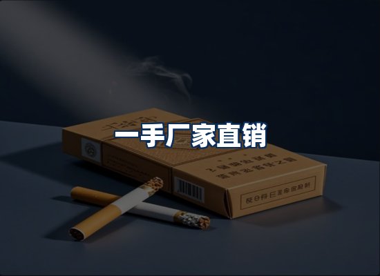专业团队办公环境